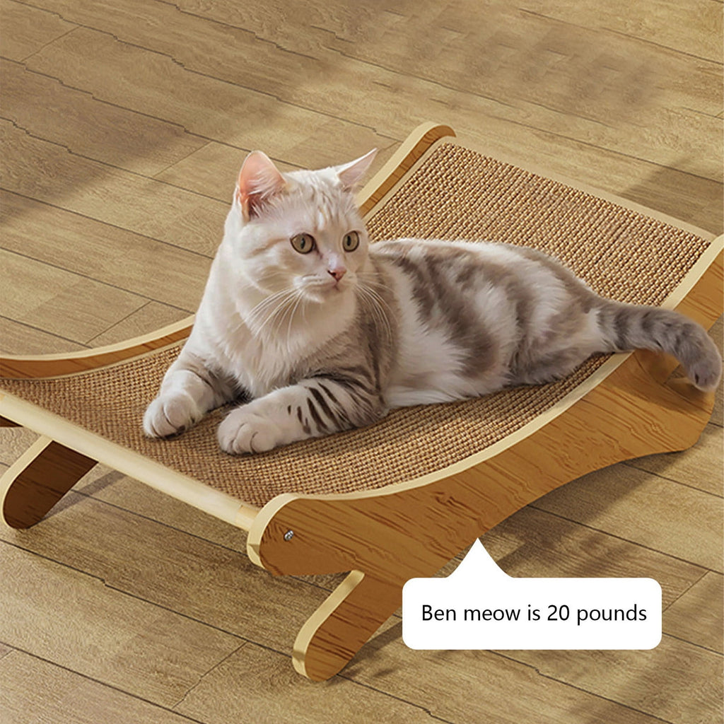 Clearance Dog Bed Medium Size Dogs, Cat Beds for Indoor Cats, Pet Bed for Puppy and Kitty, Washable, Extra , Anti-Slip Bottom