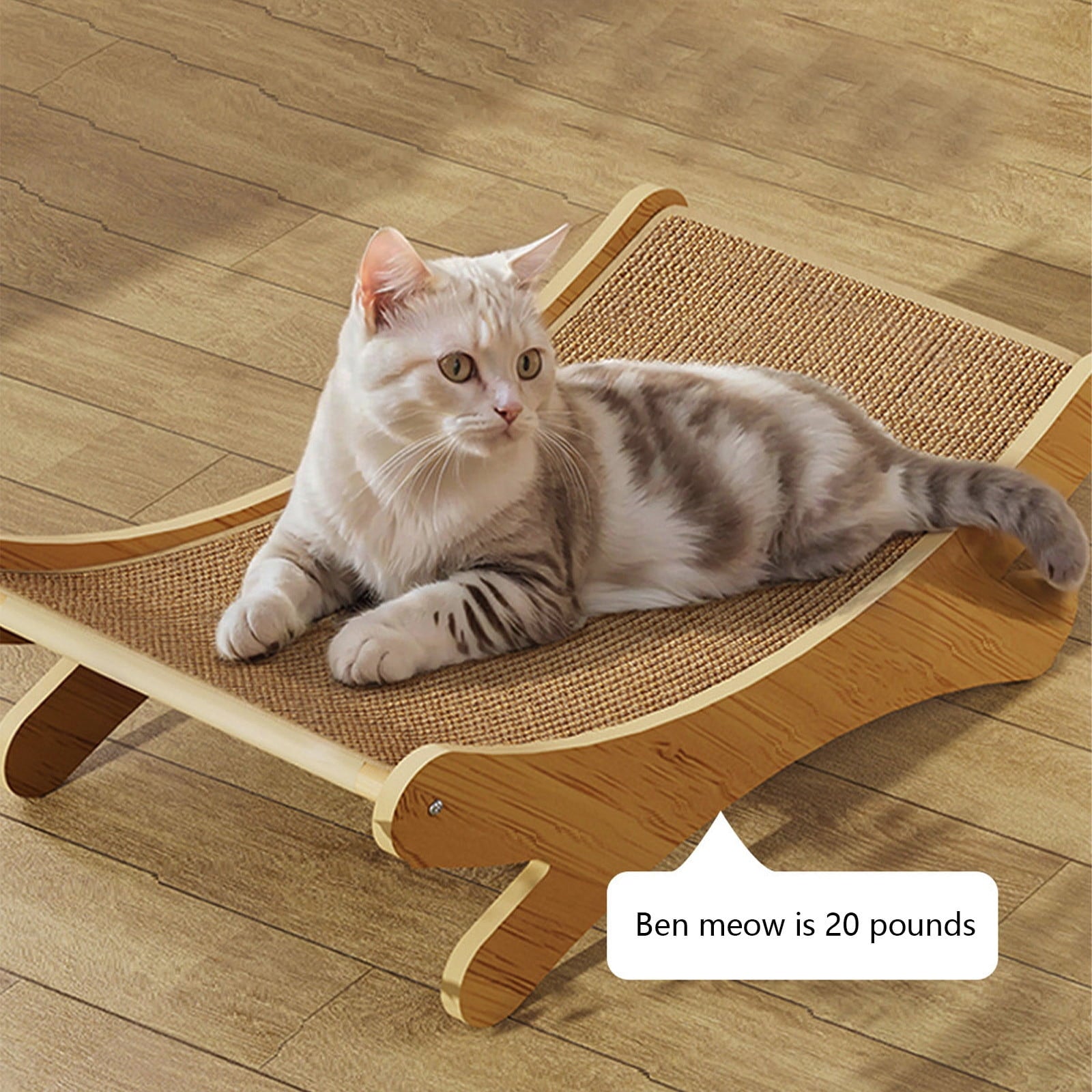 Clearance Dog Bed Medium Size Dogs, Cat Beds for Indoor Cats, Pet Bed for Puppy and Kitty, Washable, Extra , Anti-Slip Bottom
