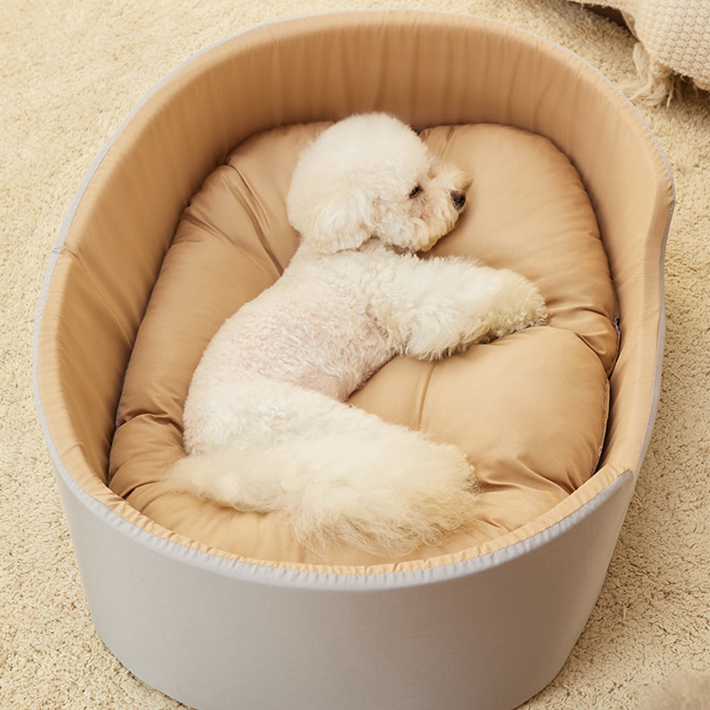 Clearance Dog Bed Medium Size Dogs, Cat Beds for Indoor Cats, Pet Bed for Puppy and Kitty, Washable, Extra , Anti-Slip Bottom
