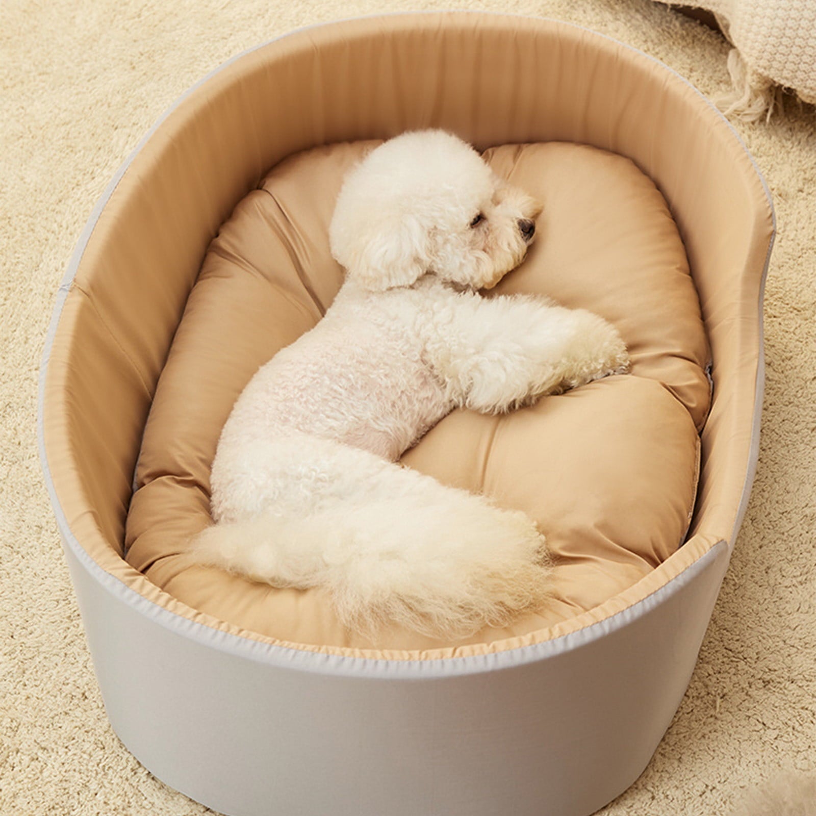 Clearance Dog Bed Medium Size Dogs, Cat Beds for Indoor Cats, Pet Bed for Puppy and Kitty, Washable, Extra , Anti-Slip Bottom