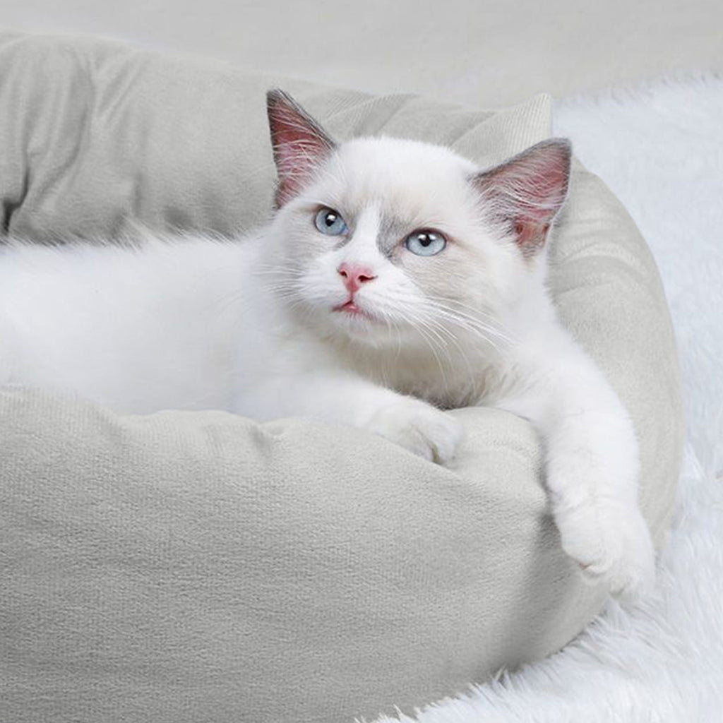 Cat Bed Large Clearance Removable Washable Pet Beds Pet Bed for Puppy and Kitten