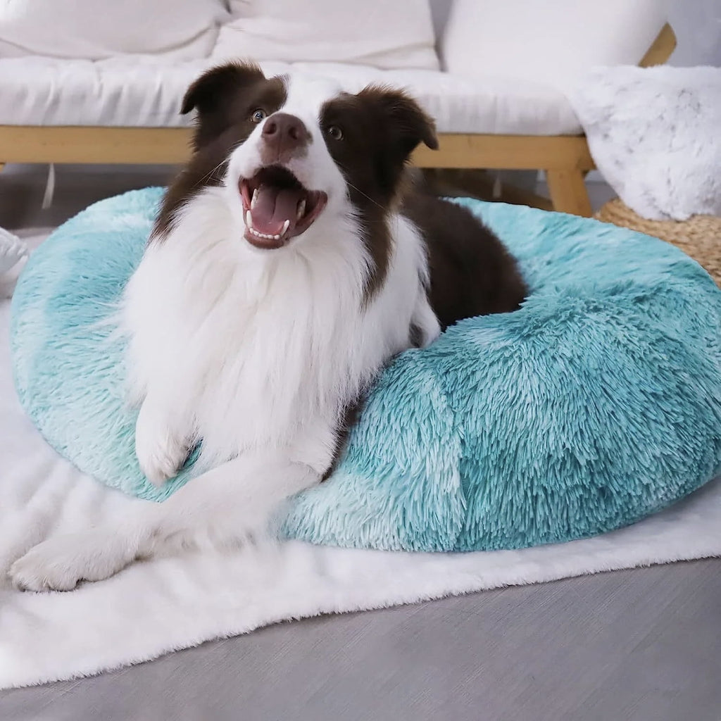 Donut Pet Bed for Small Dogs 20", Plush Warming Dog Bed, Pink Rainbow