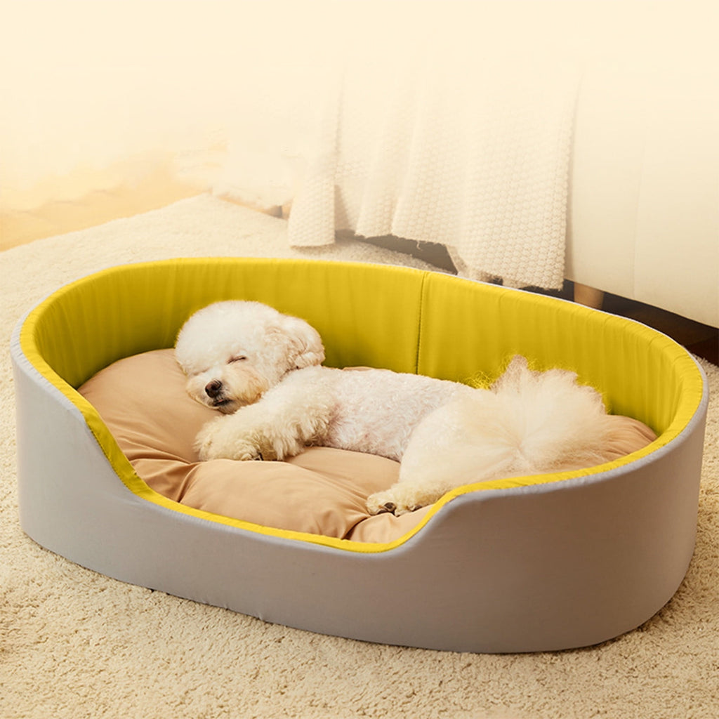 Clearance Dog Bed Medium Size Dogs, Cat Beds for Indoor Cats, Pet Bed for Puppy and Kitty, Washable, Extra , Anti-Slip Bottom