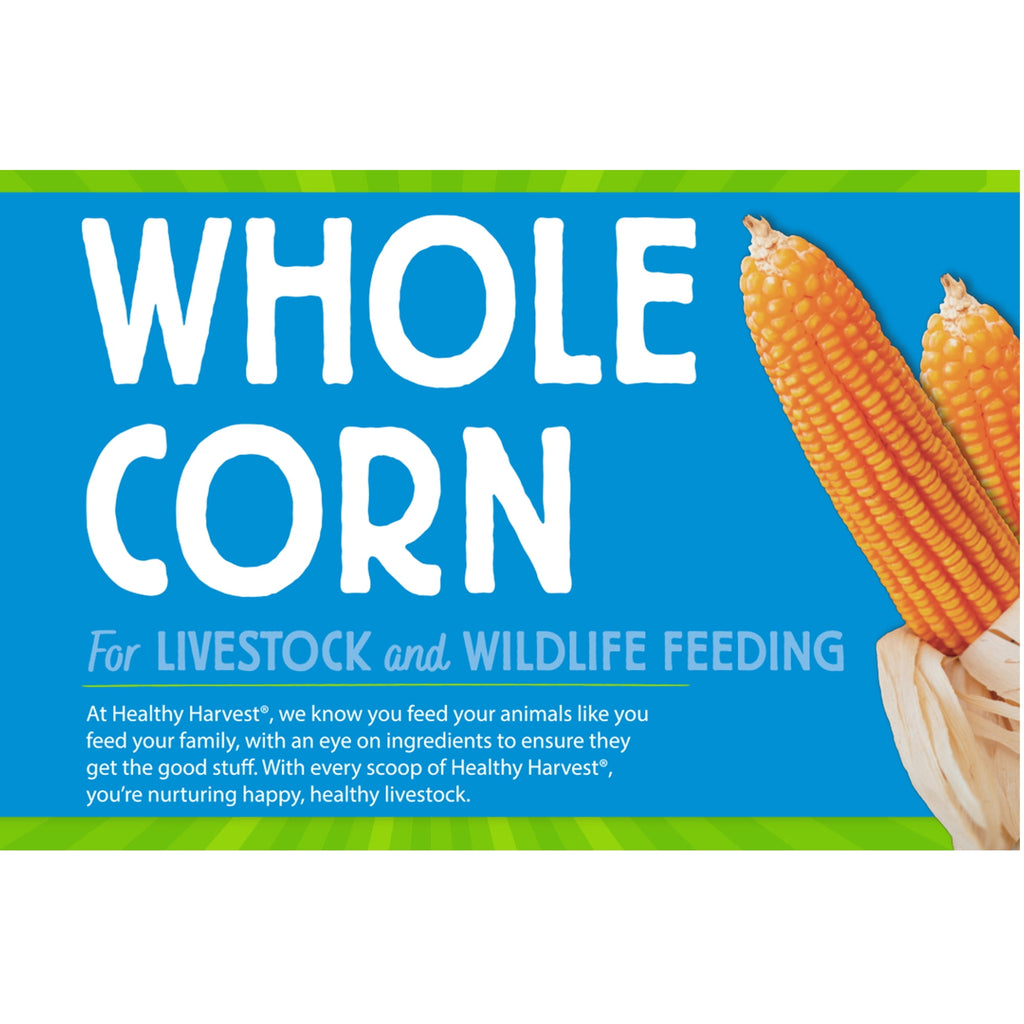 Whole Corn for Feeding Livestock and Poultry, 40 lb Bag