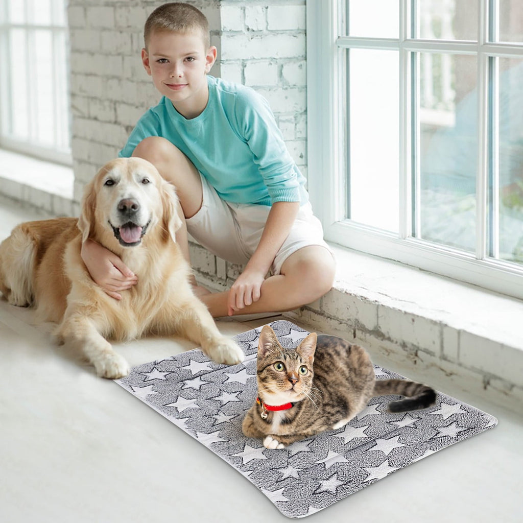 Cats Bed Cats Cushion Winter Thick Mattress Pet Sleeping Pad Indoor Cats Bed Comfy Pet Bed Suitable for Small Cats and Dogs 16.2x9.8in