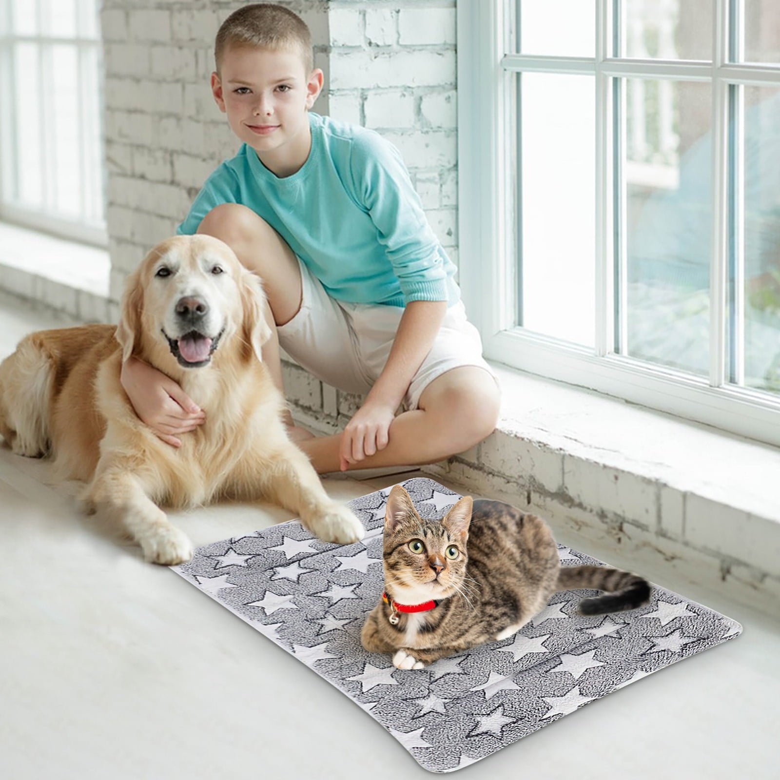 Cats Bed Cats Cushion Winter Thick Mattress Pet Sleeping Pad Indoor Cats Bed Comfy Pet Bed Suitable for Small Cats and Dogs 16.2x9.8in
