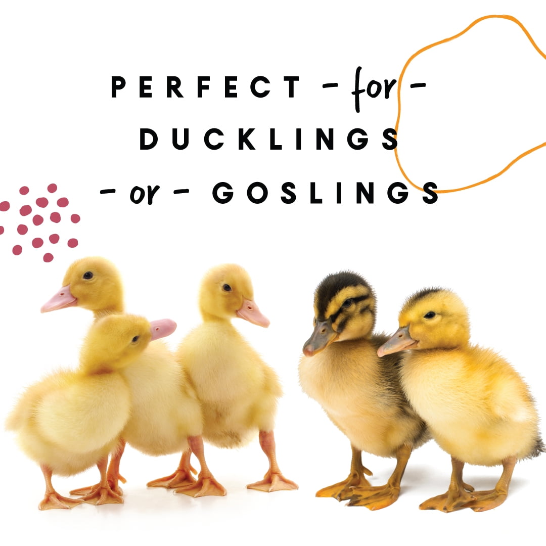 Duck and Gosling Starter Grower 8 lb