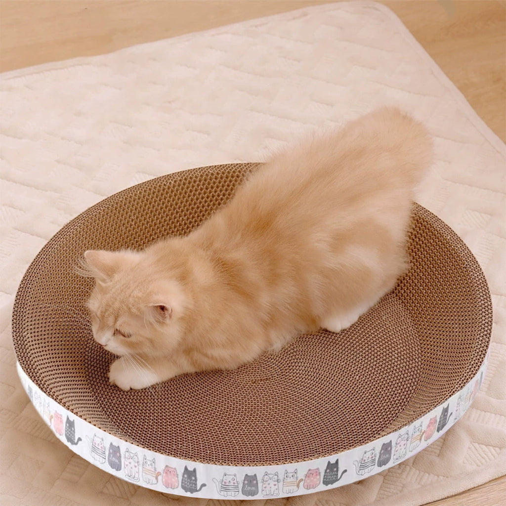 Clearance Dog Bed Medium Size Dogs, Cat Beds for Indoor Cats, Pet Bed for Puppy and Kitty, Washable, Extra , Anti-Slip Bottom