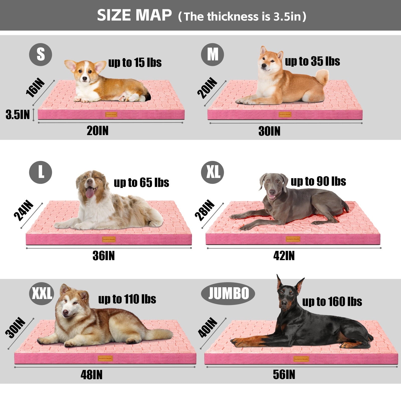 Checkered Pet Bed for Medium Dogs 36"X24", Removable Washable Cover, Black
