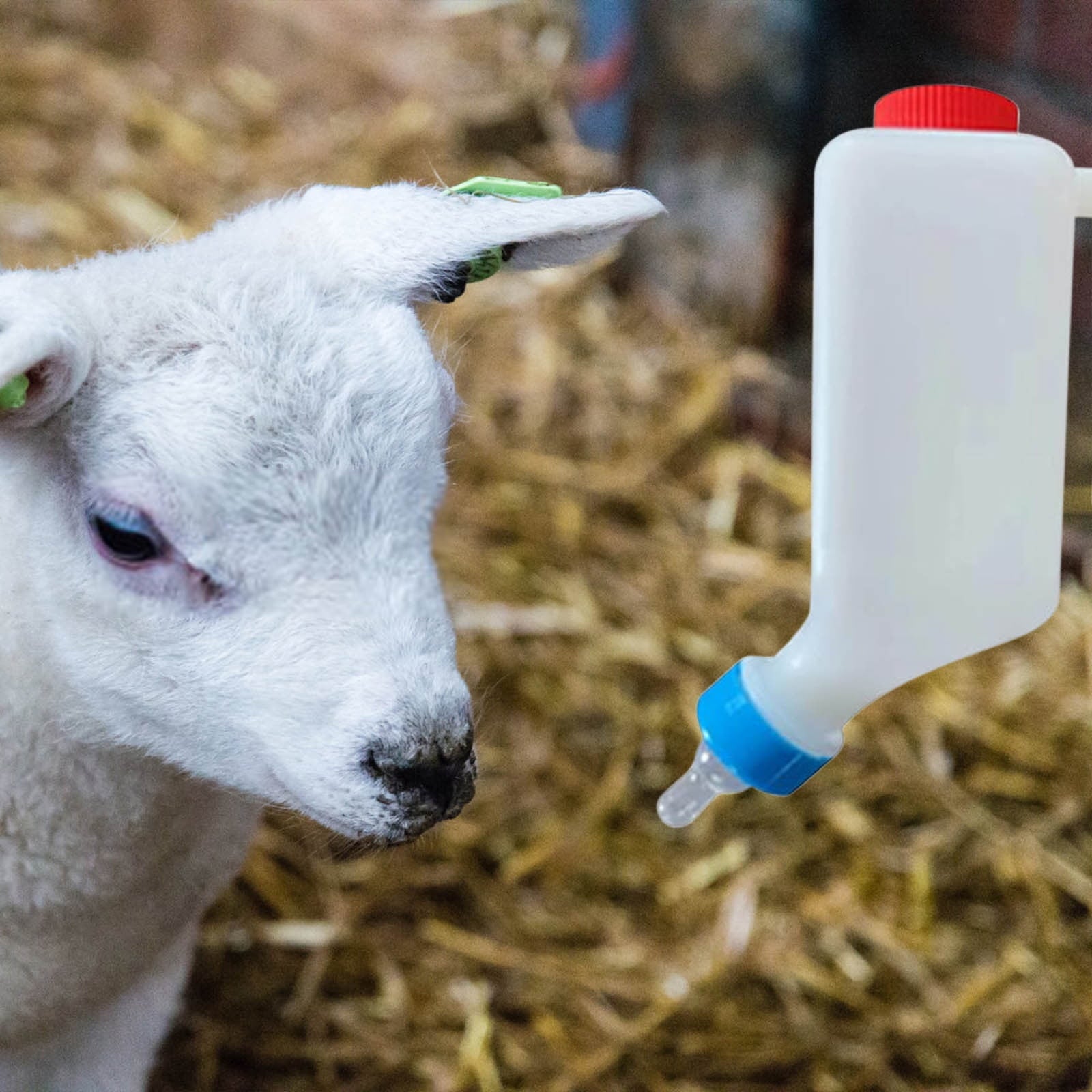 YAMB Goat Bottles for Feeding Baby Goats,500ml Lamb Baby Bottles with Nipple,With Scale Hanging Plastic Milk Feeder Bottle,Little Goat Sheep Nursing Bottle,Feeder for Farm Animal,1 Pc
