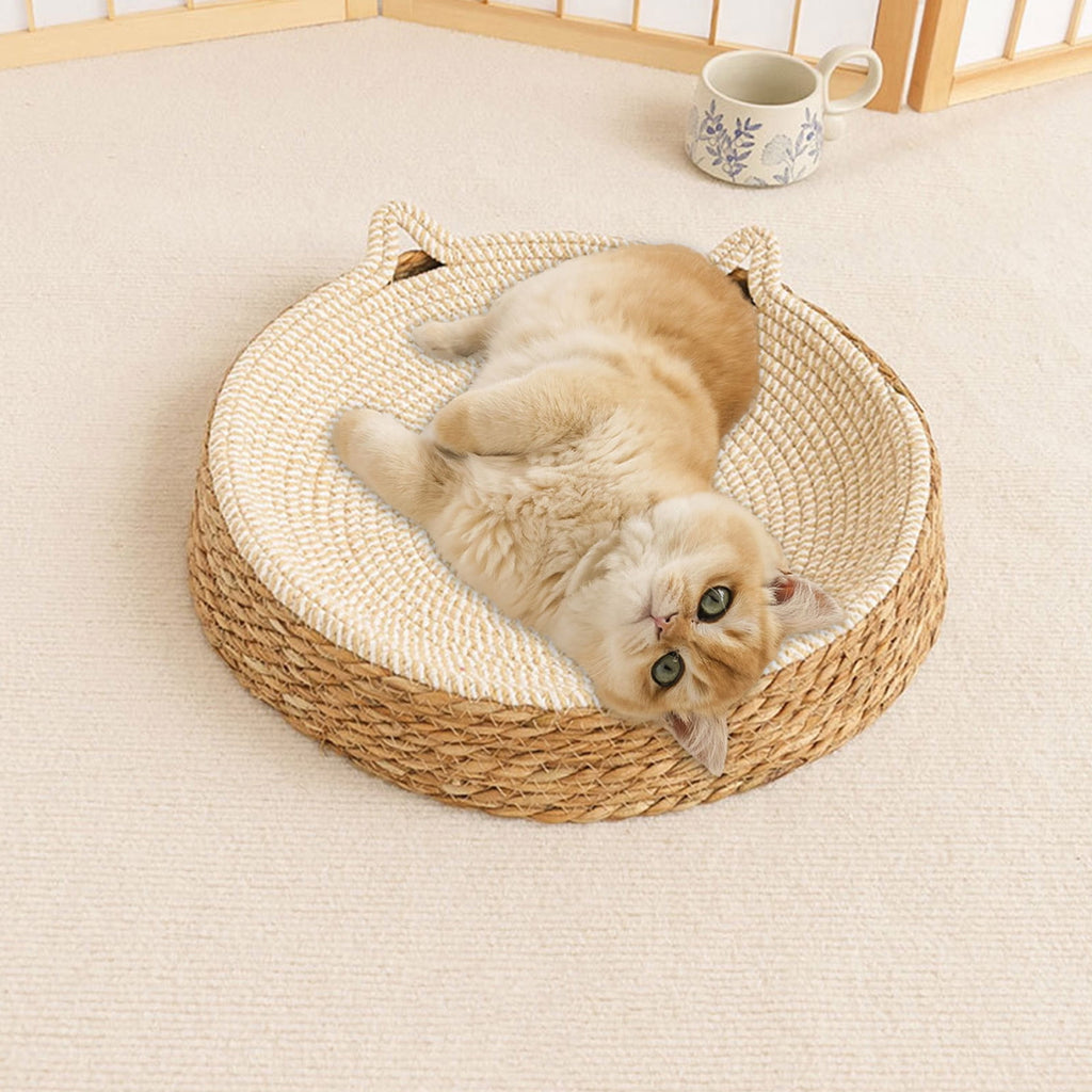 Clearance Dog Bed Medium Size Dogs, Cat Beds for Indoor Cats, Pet Bed for Puppy and Kitty, Washable, Extra , Anti-Slip Bottom