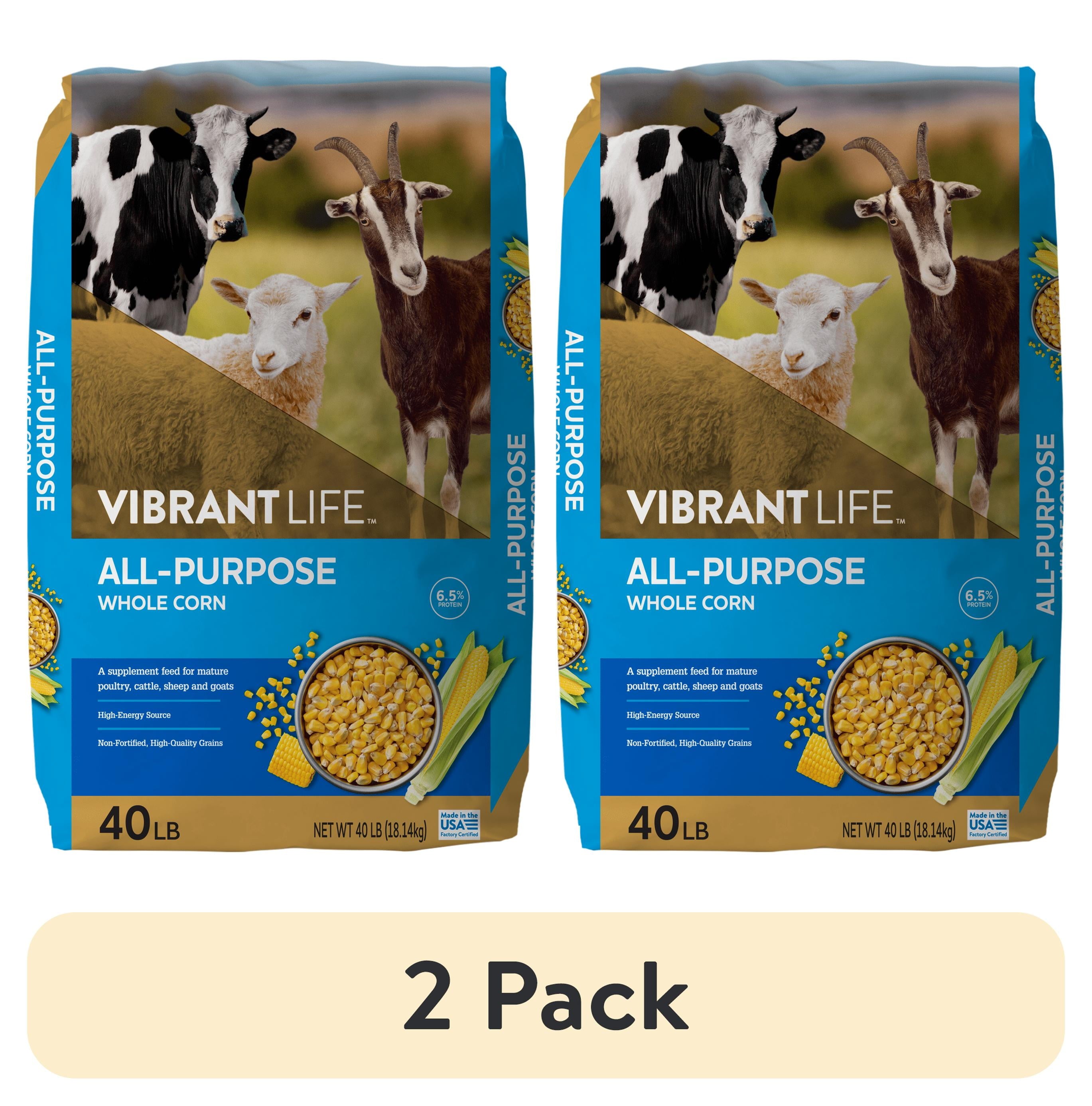 All-Purpose Whole Corn, 40 lb Bag