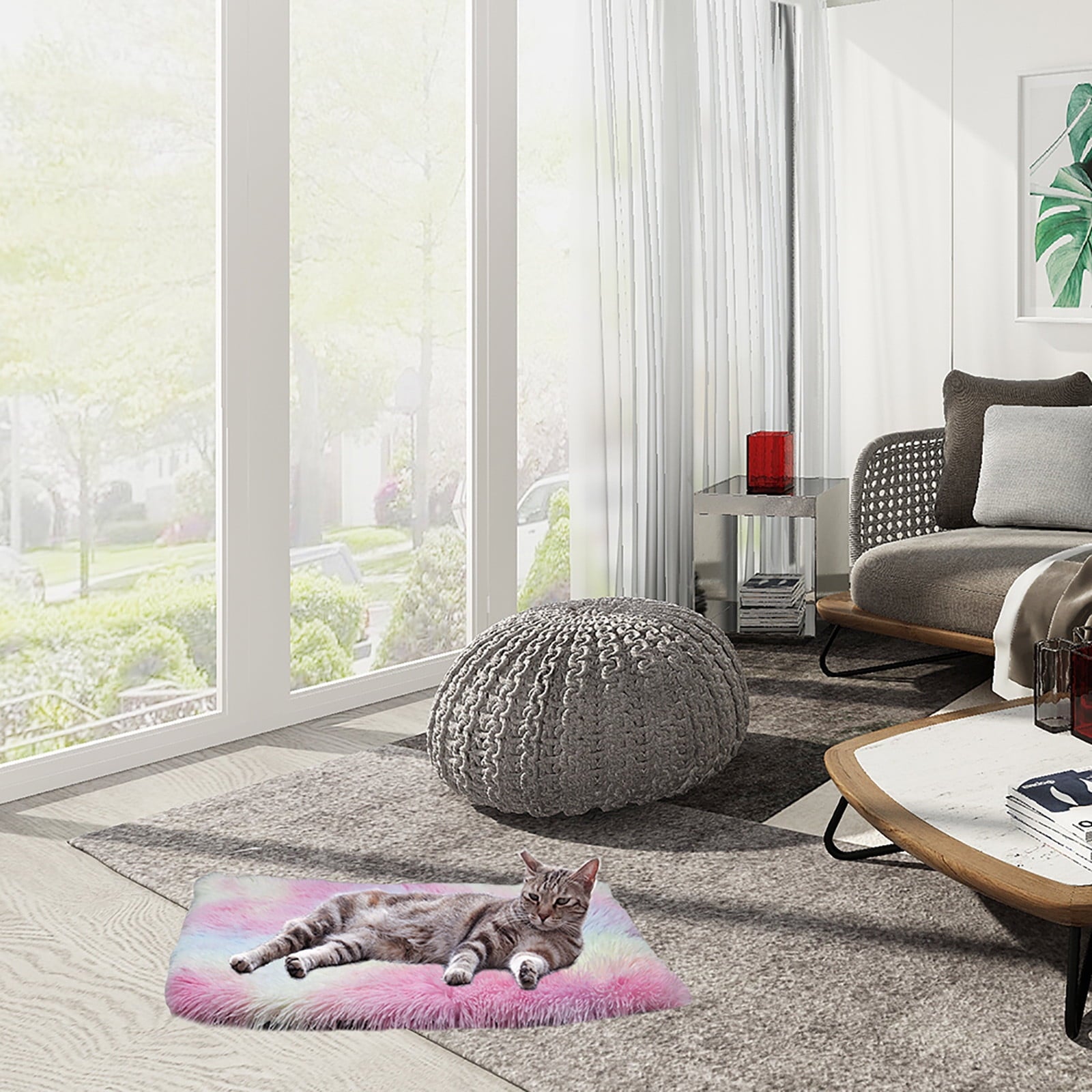 Dog Bed for Small Dogs, Pet Bed for Dogs Cats, , and , for Home, Indoor/Outdoor Use
