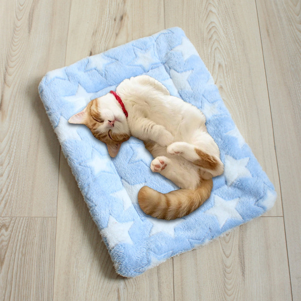 Cats Bed Cats Cushion Winter Thick Mattress Pet Sleeping Pad Indoor Cats Bed Comfy Pet Bed Suitable for Small Cats and Dogs 16.2x9.8in