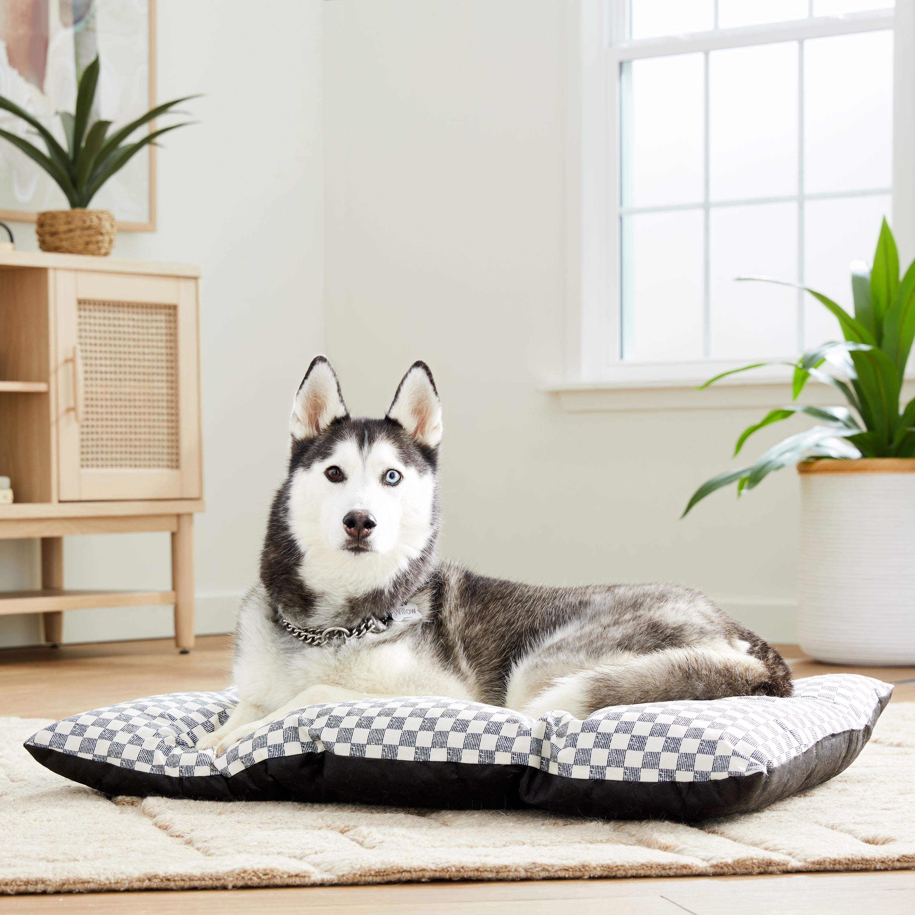 Bed for Dogs, Tufted Pillow, , Black and White Checkered, 35" x 27"