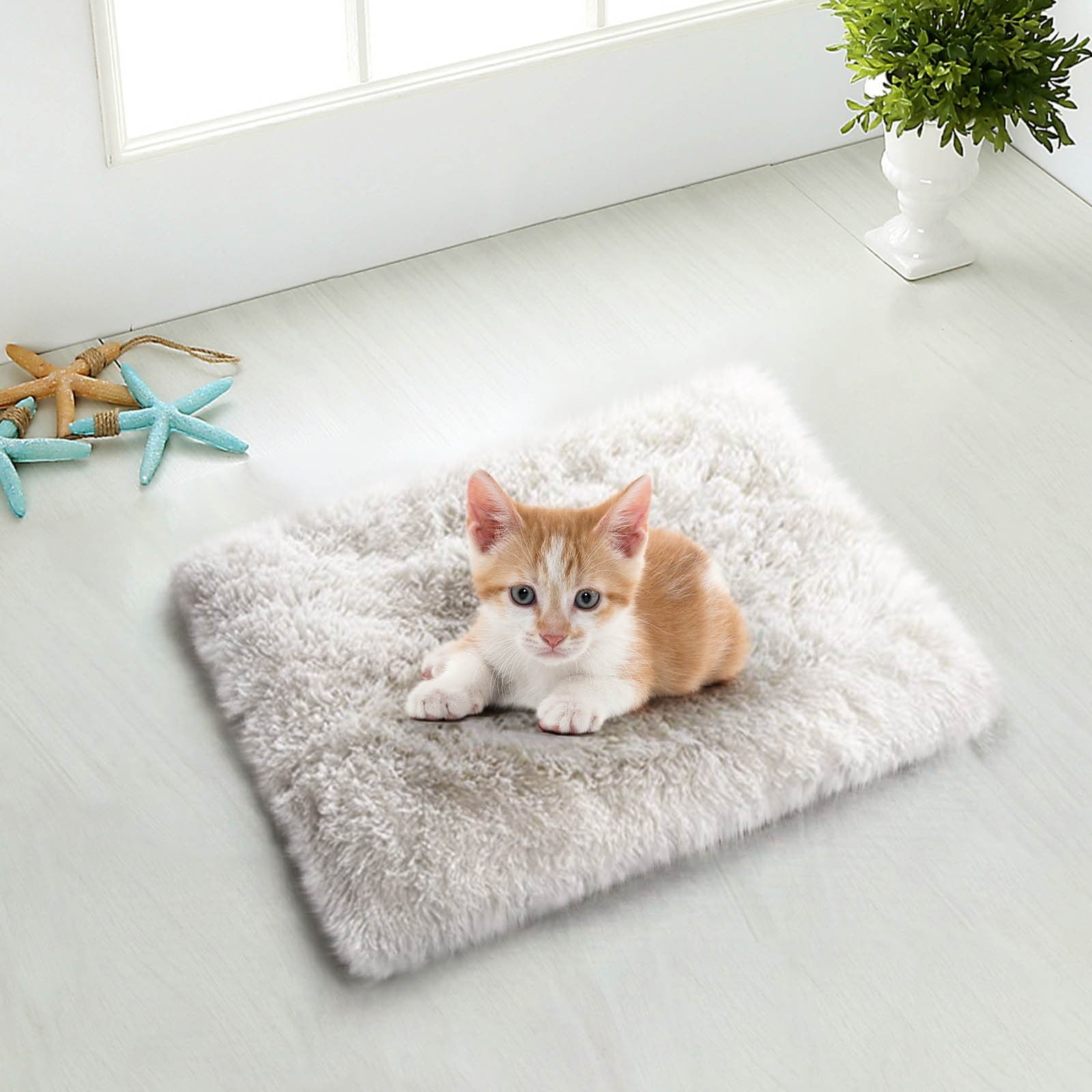 Dog Bed for Small Dogs, Pet Bed for Dogs Cats, , and , for Home, Indoor/Outdoor Use