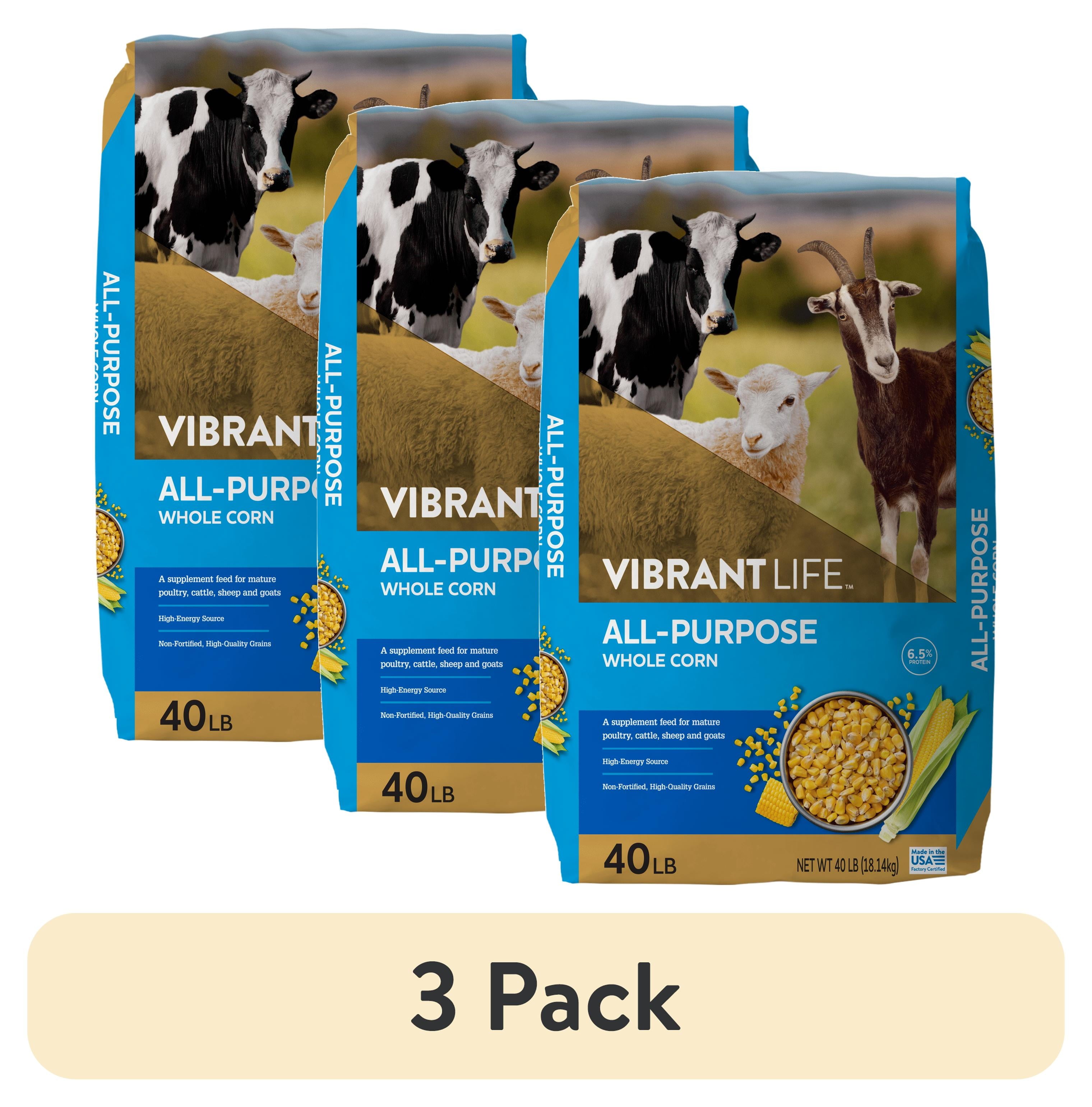 All-Purpose Whole Corn, 40 lb Bag