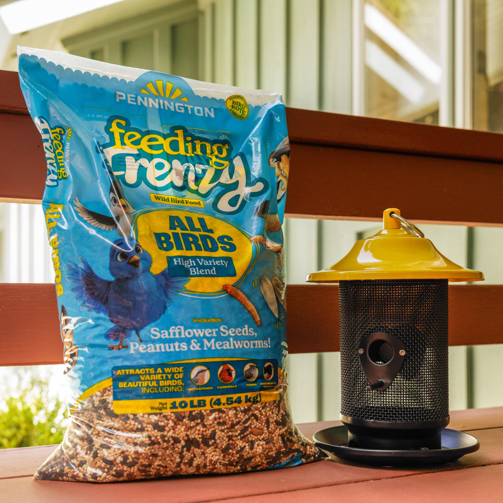 Feeding Frenzy Wild Bird Seeds, Wild Bird Food Mix, 5 lb.