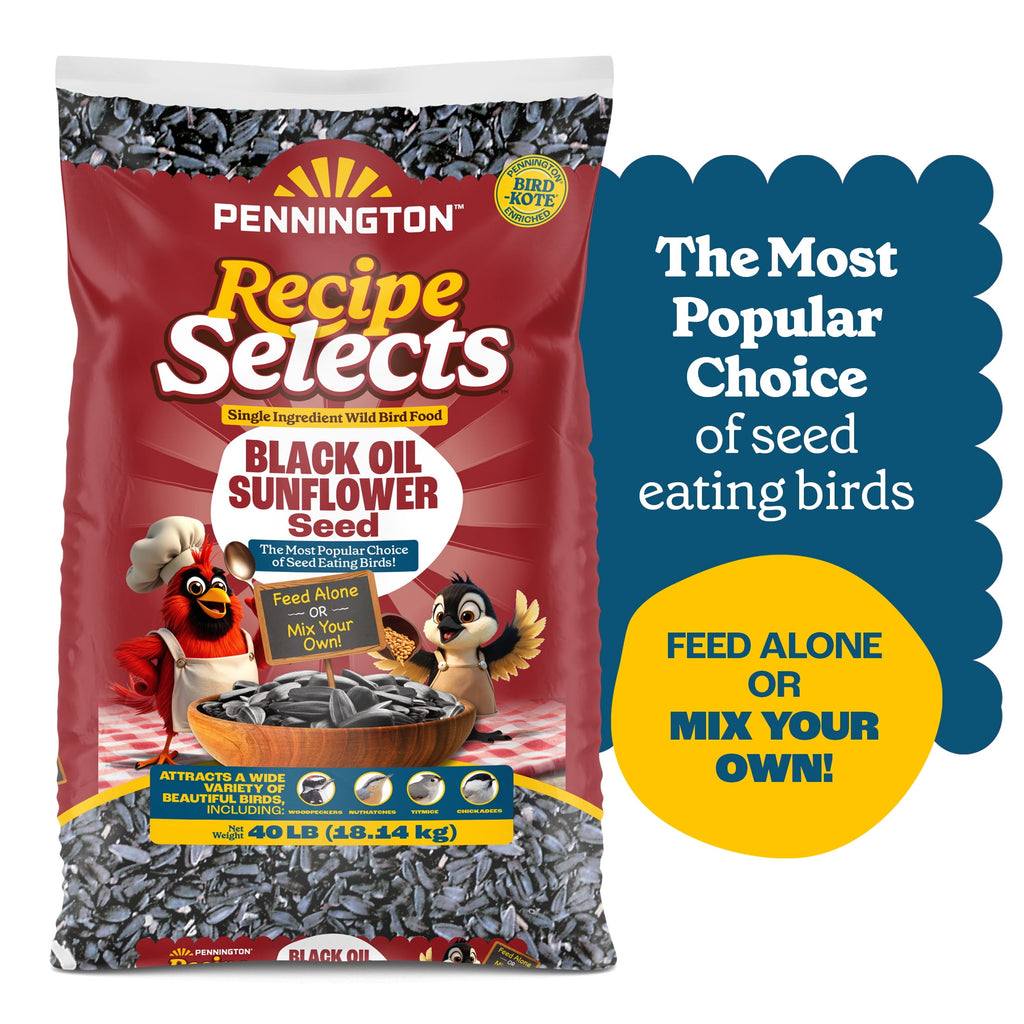 Recipe Selects Black Oil Sunflower Seed Dry Wild Bird Feed, Bird Food, 40 lb. Bag, 1 Pack