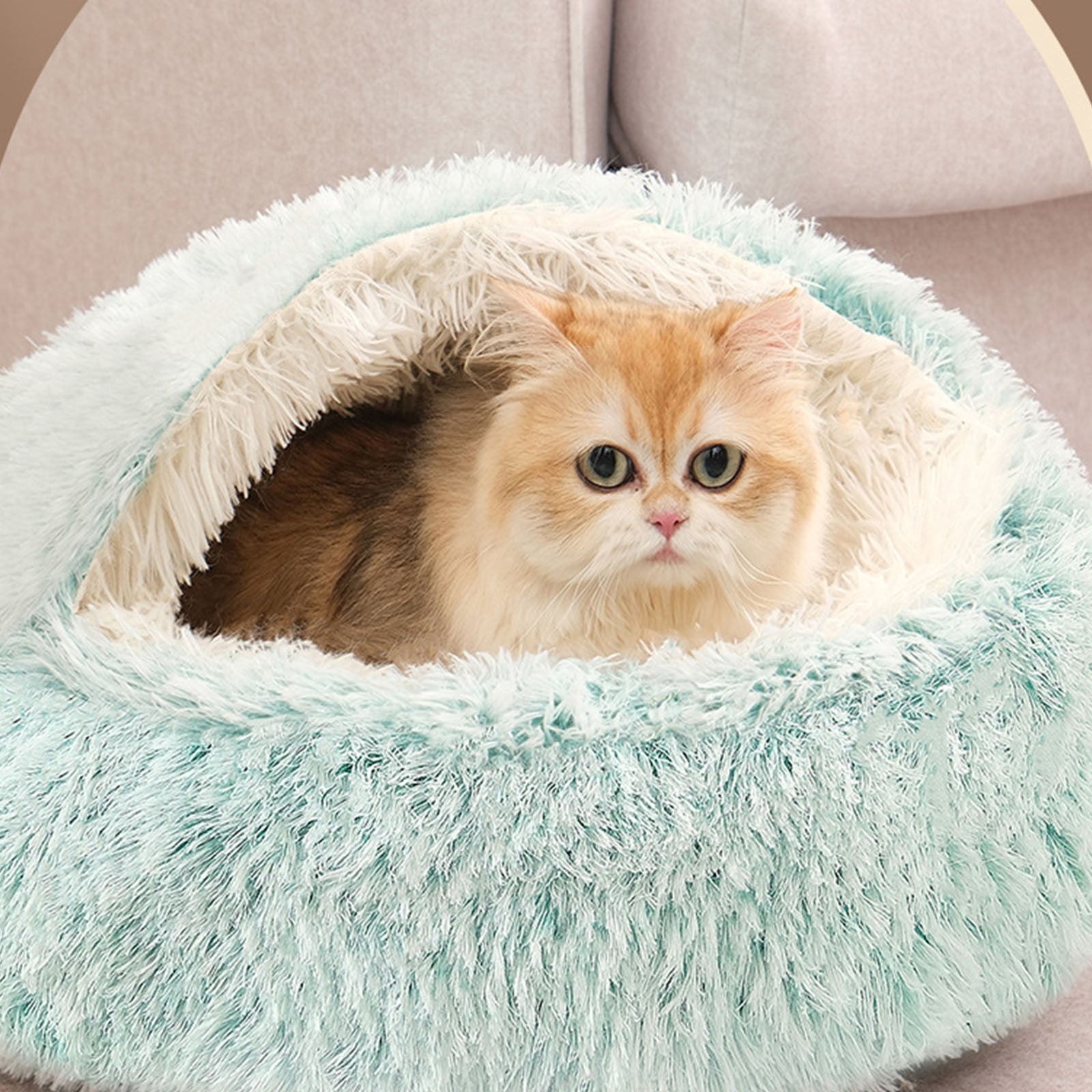 Washable Cat Bed &amp; Dog Bed, Semi-closed Bed for Small Medium Large Pets, Plush Cotton No Deformation Pet Bed on Clearance, Multipleon (11"x 11"x 10", Gray)