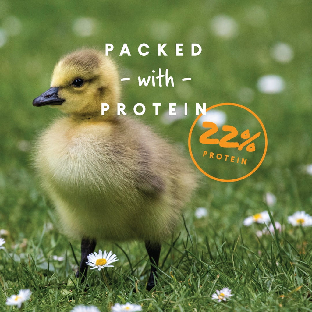 Duck and Gosling Starter Grower 8 lb