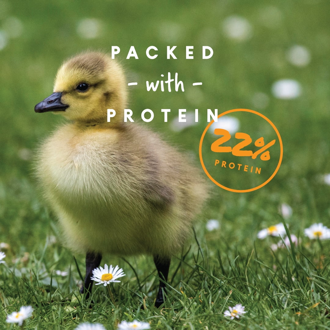Duck and Gosling Starter Grower 8 lb