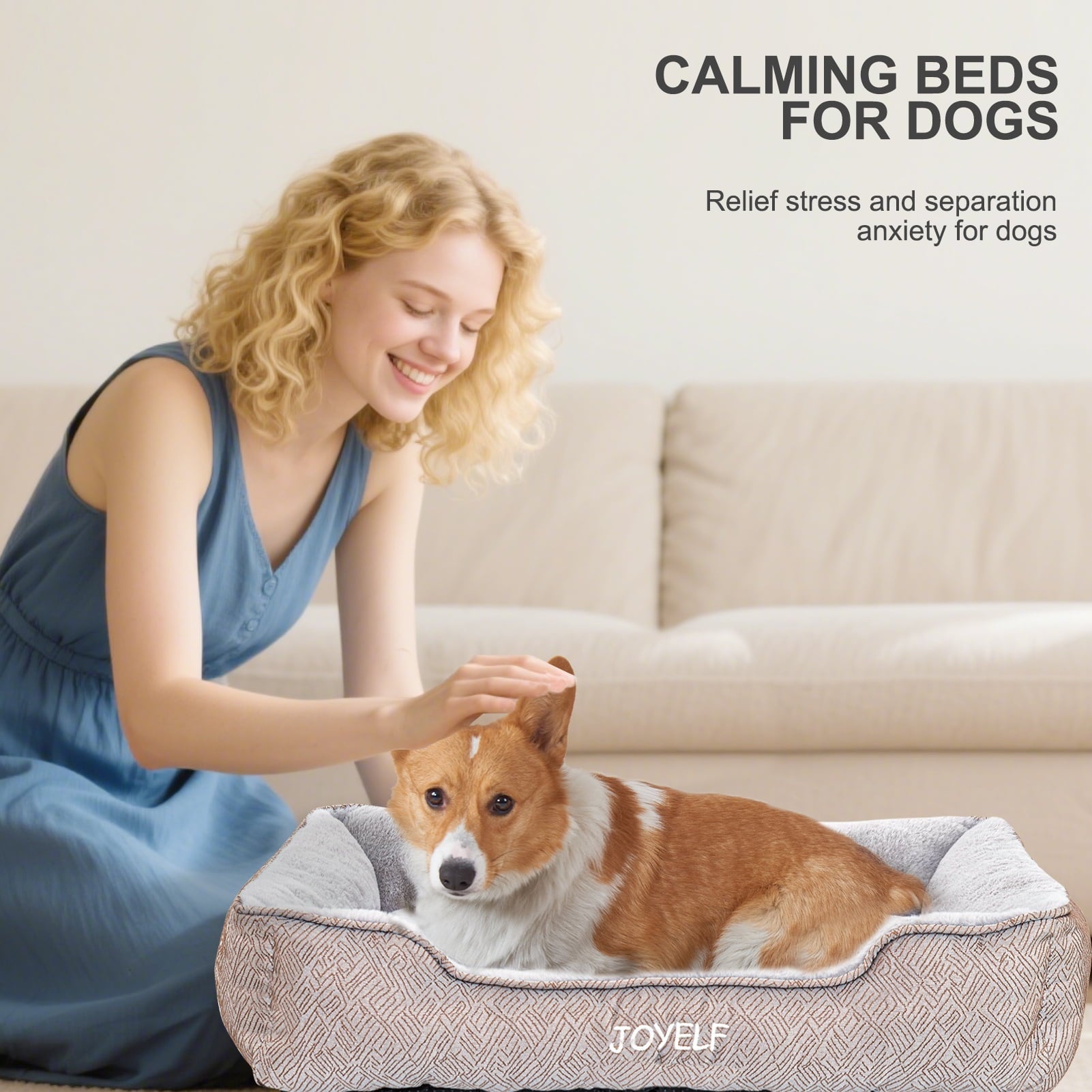 Dog Bed Washable Pet Bed, Anti Anxiety Cat Bed &amp; Sofa, Cute Plush Dog Mat for Small Dog