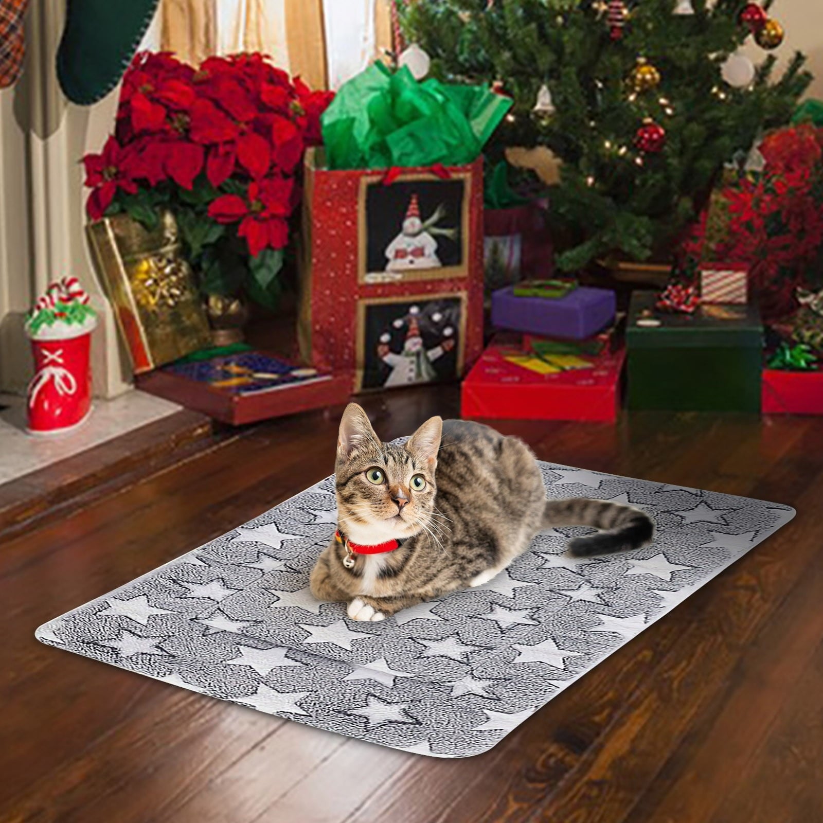 Cats Bed Cats Cushion Winter Thick Mattress Pet Sleeping Pad Indoor Cats Bed Comfy Pet Bed Suitable for Small Cats and Dogs 16.2x9.8in