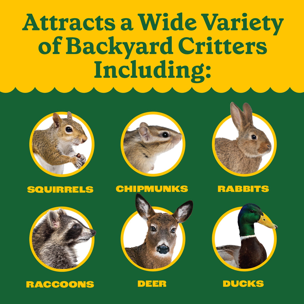 Classic Whole Ear Corn, Squirrel and Critter Feed, 6.5 lb. Bag, Dry, 1 Pack