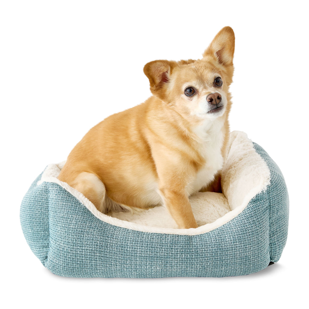 Small Luxe Cuddler Dog Bed, Blue, 17" x 21"