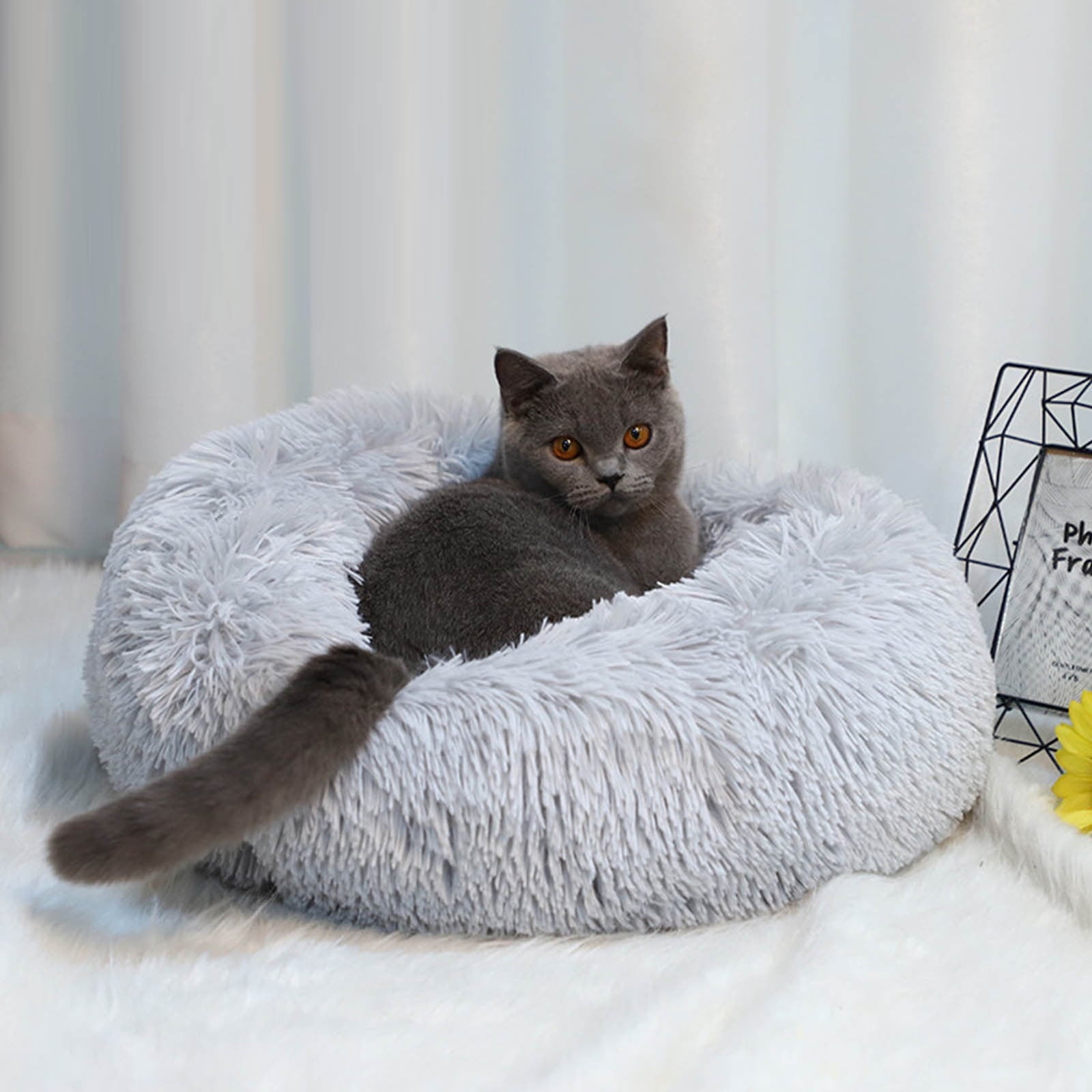 Cat Bed Clearance Washable Plush Pet Beds Pet Bed for Puppy and Kitten