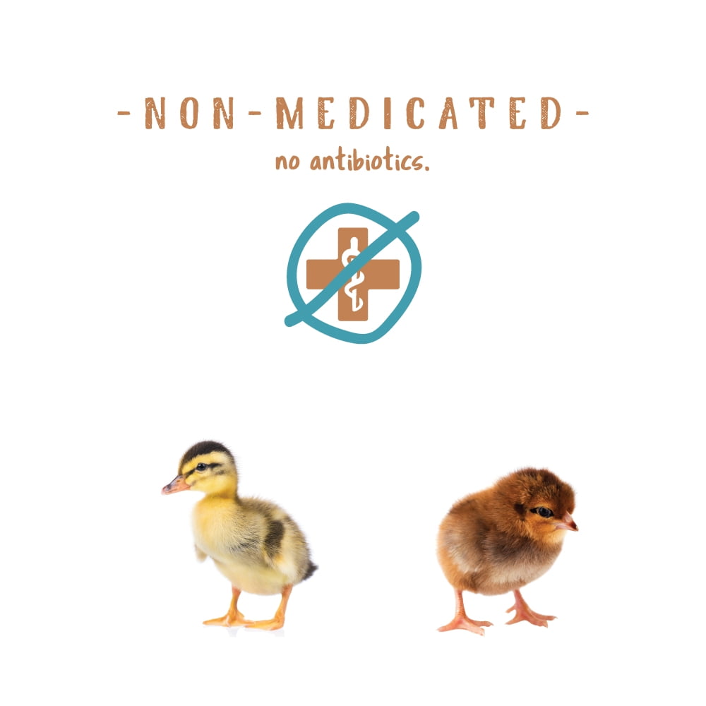 Chick Starter Non-Medicated Poultry Feed - 1 Bag - 5 lb.
