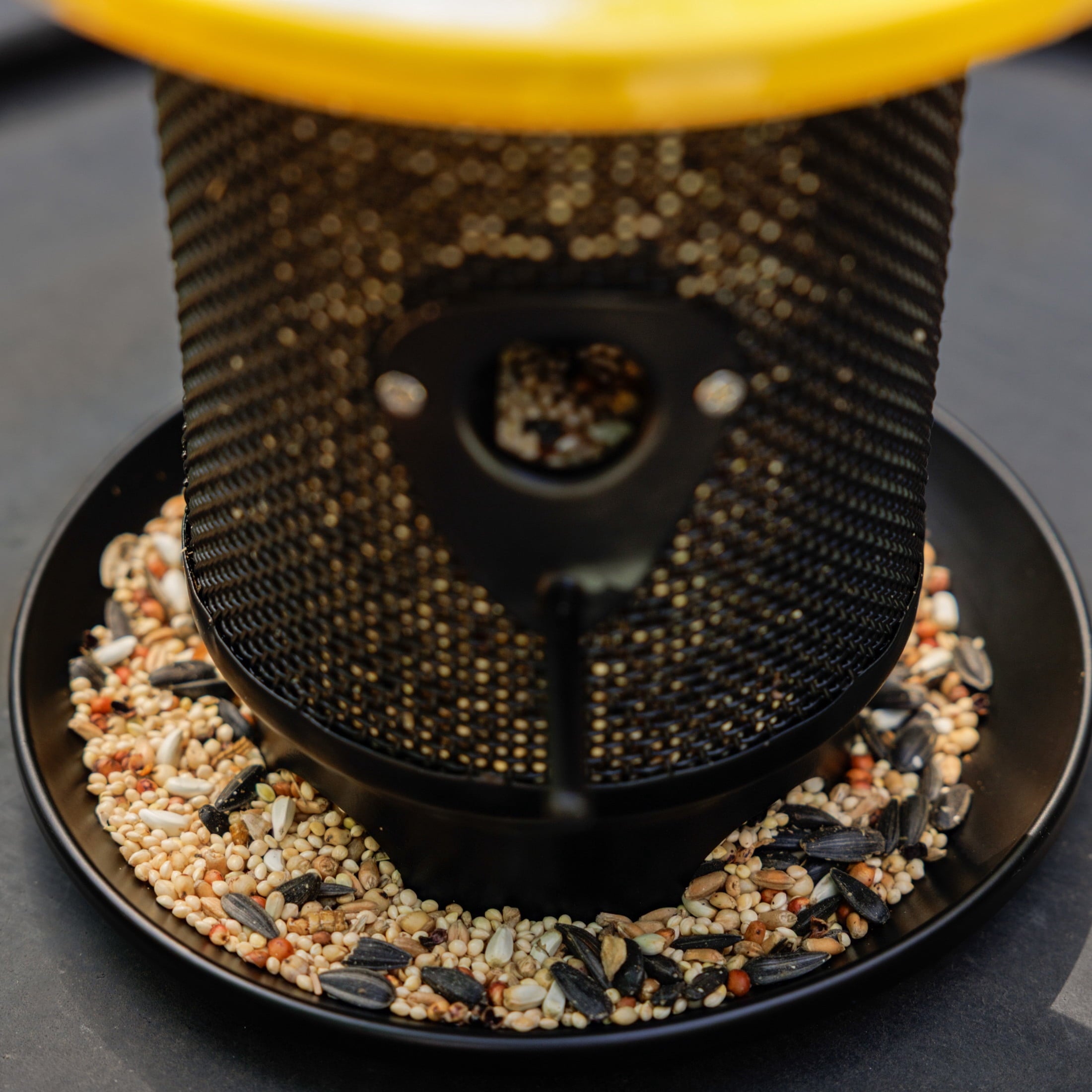 Feeding Frenzy Wild Bird Seeds, Wild Bird Food Mix, 5 lb.