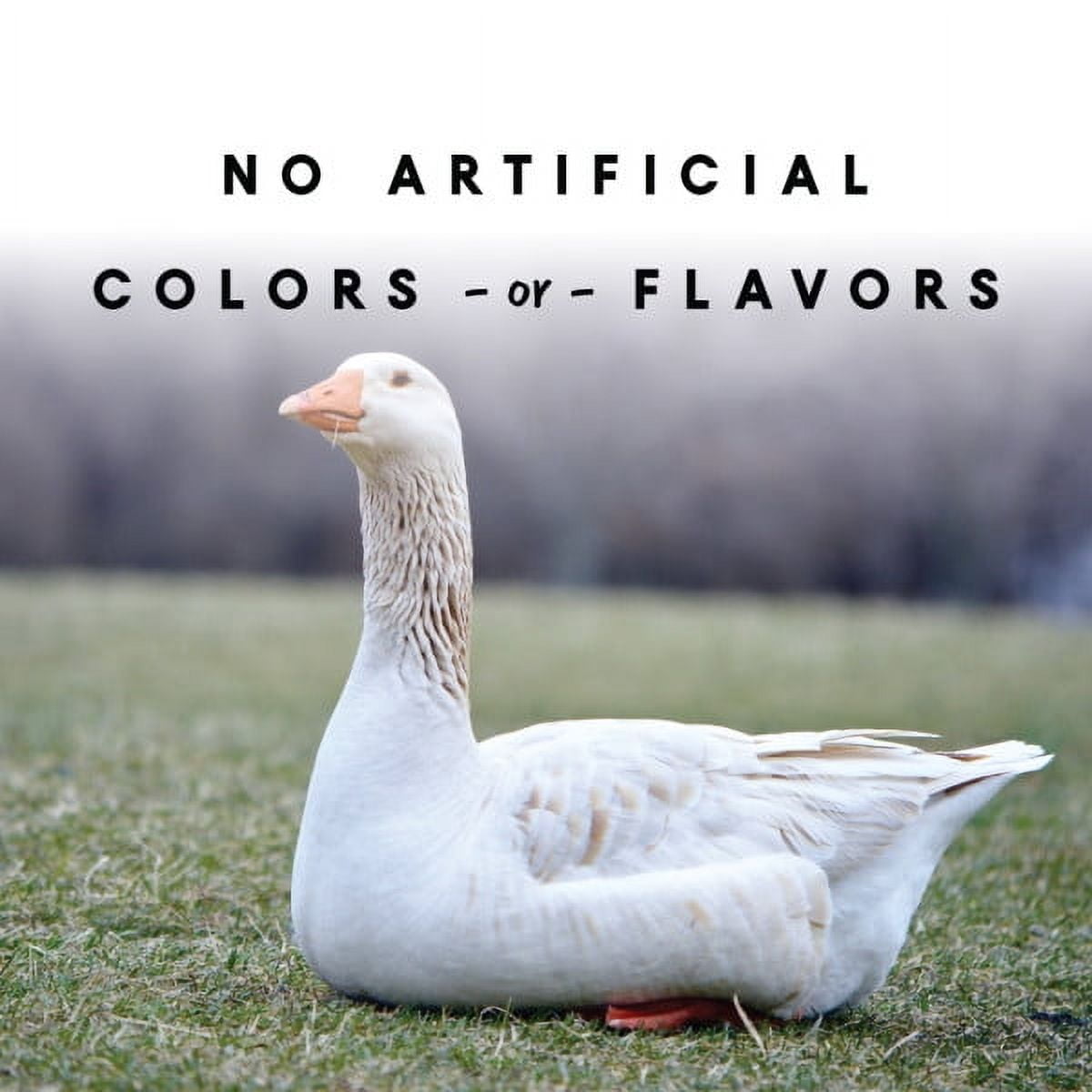 Duck and Goose Layer Pellets - 8 lbs.