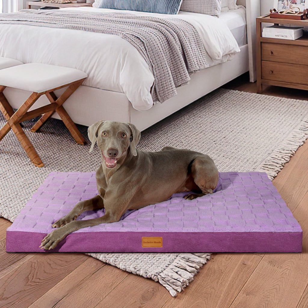 Checkered Pet Bed for Medium Dogs 36"X24", Removable Washable Cover, Black