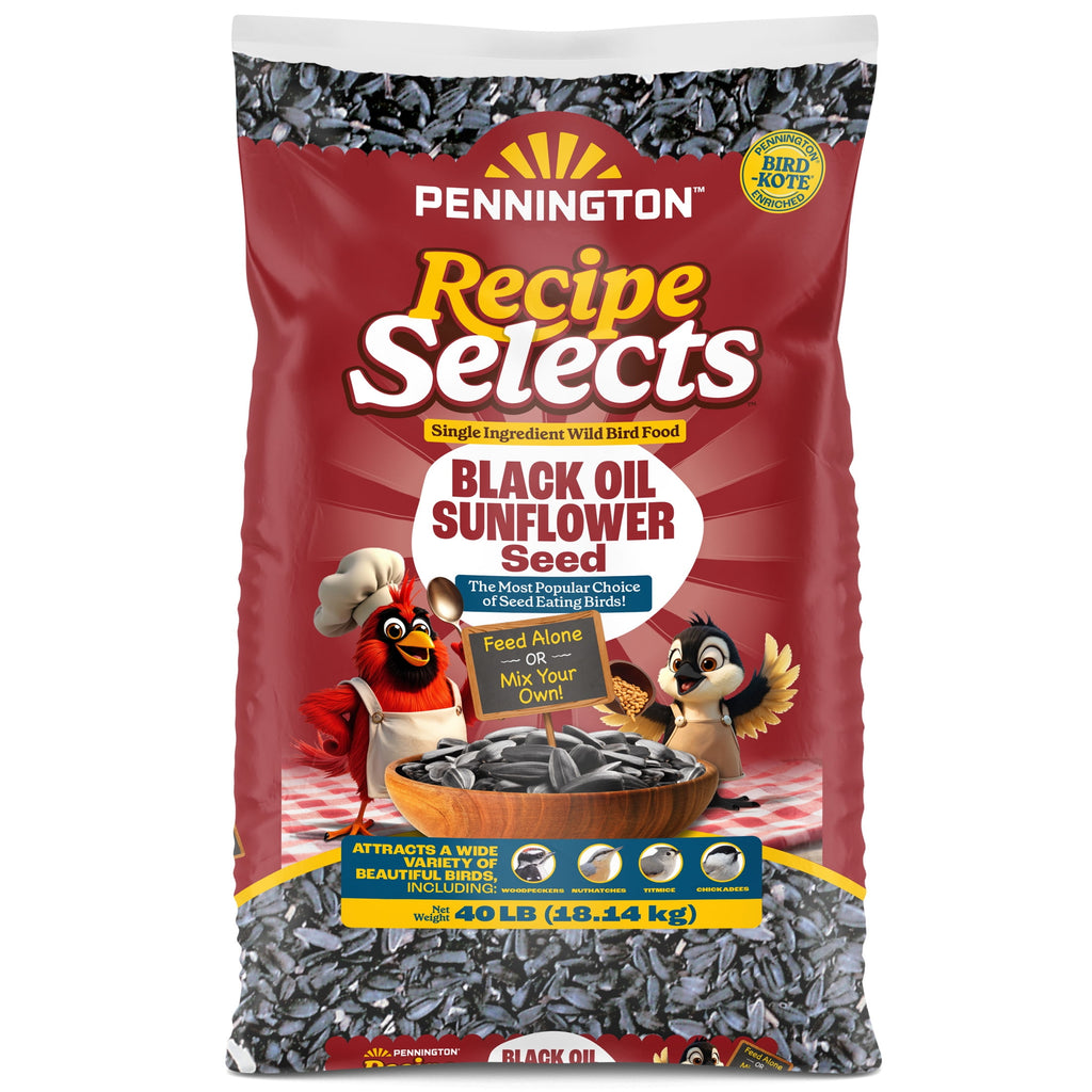 Recipe Selects Black Oil Sunflower Seed Dry Wild Bird Feed, Bird Food, 40 lb. Bag, 1 Pack