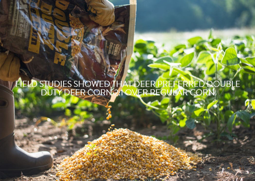 Top Score Double Duty Deer Corn, 35lb Bag, High Protein, Energy-Boosting