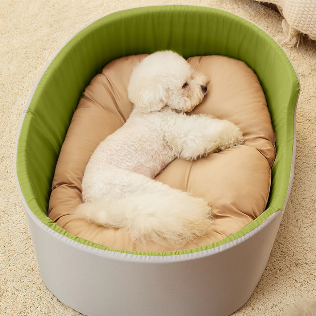 Clearance Dog Bed Medium Size Dogs, Cat Beds for Indoor Cats, Pet Bed for Puppy and Kitty, Washable, Extra , Anti-Slip Bottom