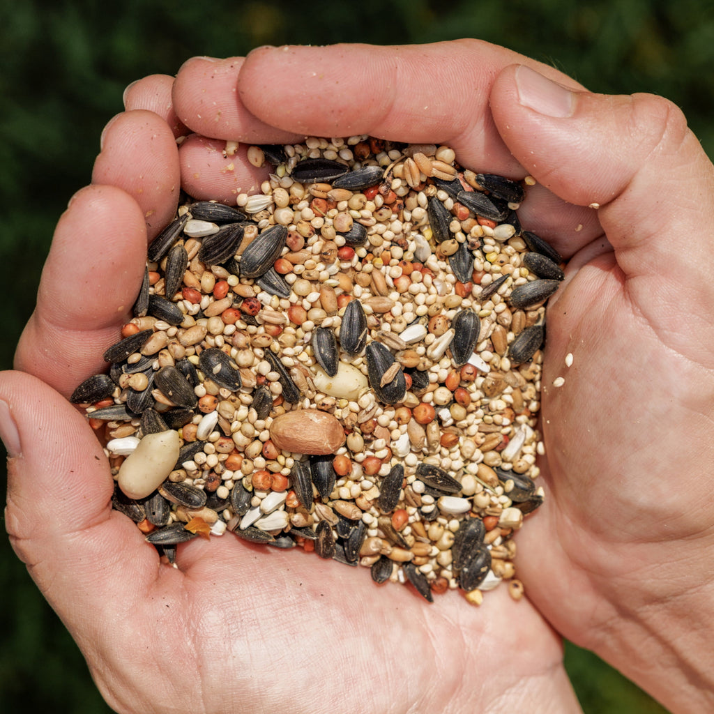 Feeding Frenzy Wild Bird Seeds, Wild Bird Food Mix, 5 lb.