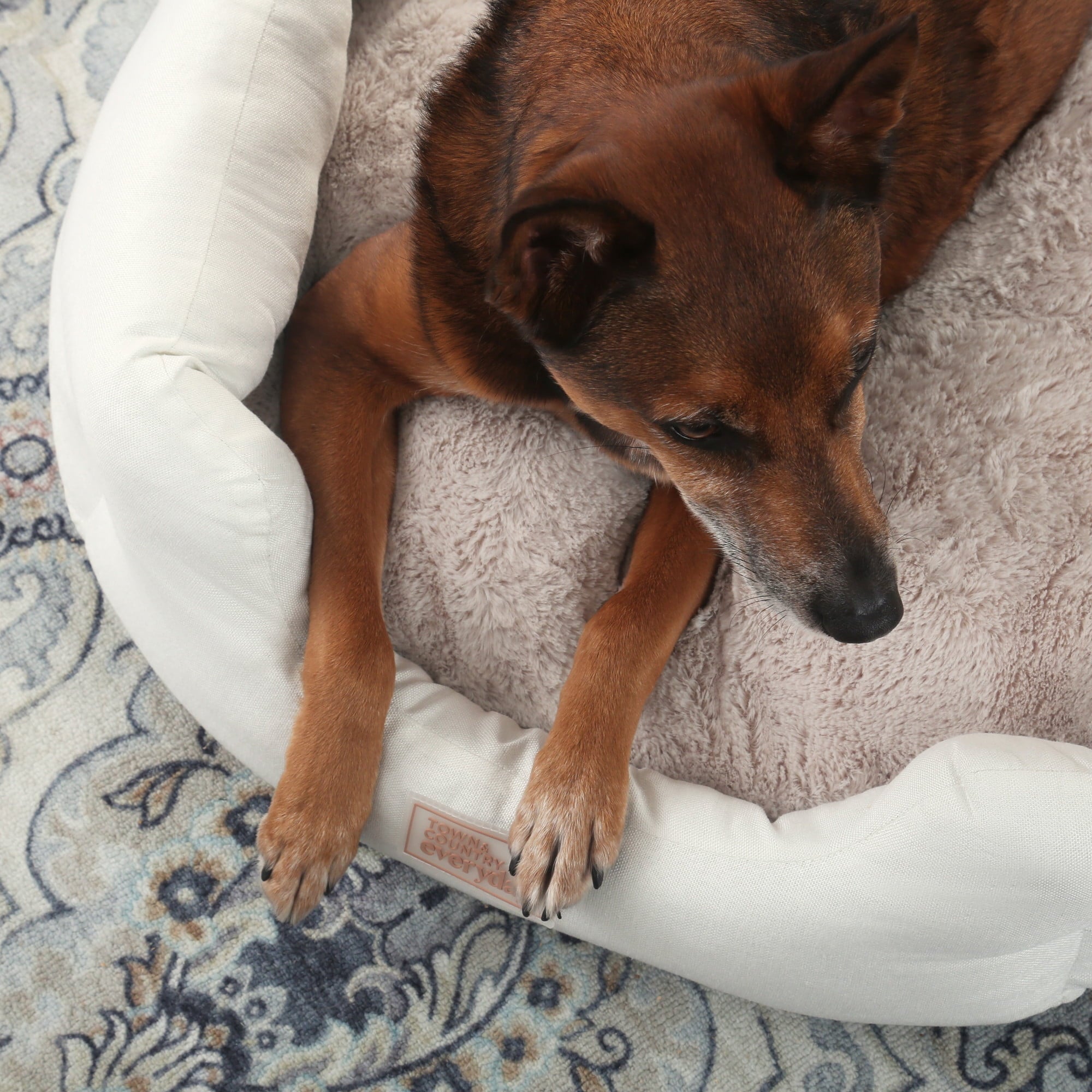 TOWN &amp; COUNTRY EVERYDAY CuddleTown Faux Linen Comfy Cuddler Pet Bed, Supportive &amp; Egg Crate Foam, Water Repellent, Bottom, Cover, Grey, Medium 28"x26"x8"
