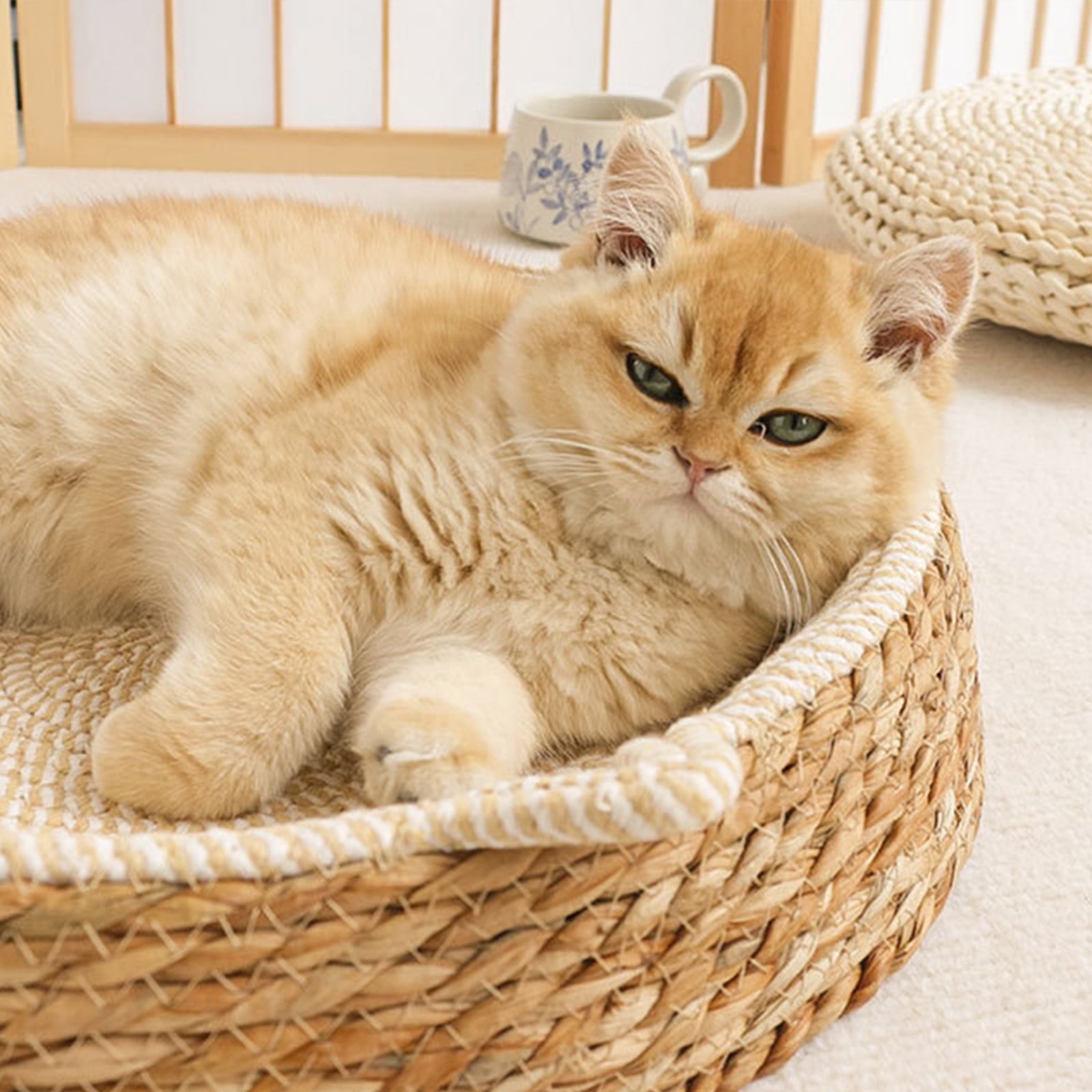 Clearance Dog Bed Medium Size Dogs, Cat Beds for Indoor Cats, Pet Bed for Puppy and Kitty, Washable, Extra , Anti-Slip Bottom