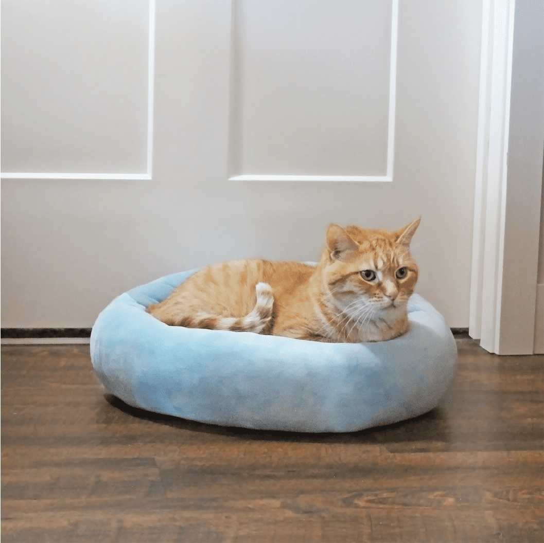 Bed for Dogs &amp; Cats, Squish Cuddle Bed, Washable, Light Blue, 17"