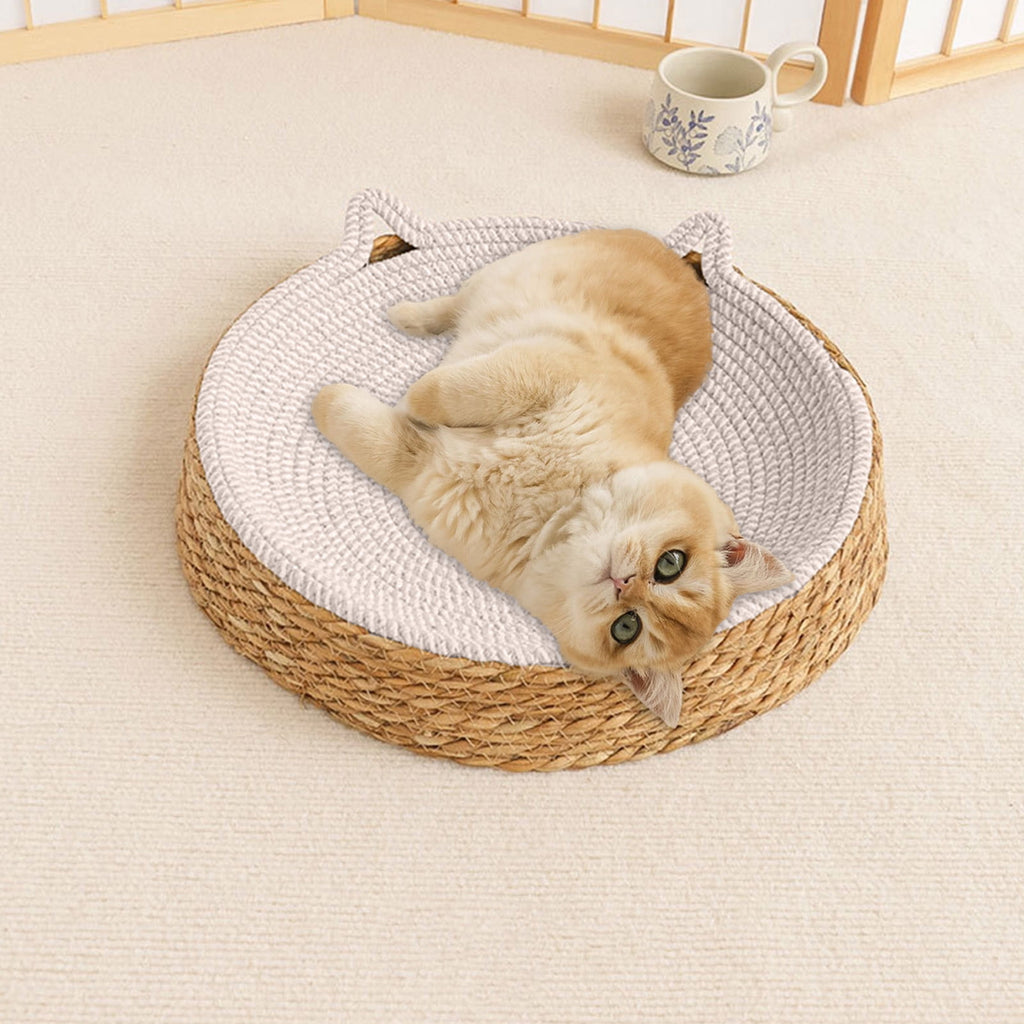Clearance Dog Bed Medium Size Dogs, Cat Beds for Indoor Cats, Pet Bed for Puppy and Kitty, Washable, Extra , Anti-Slip Bottom