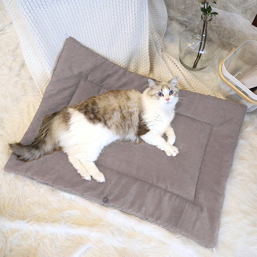 Clearance Dog Bed Medium Size Dogs, Cat Beds for Indoor Cats, Pet Bed for Puppy and Kitty, Washable, Extra , Anti-Slip Bottom