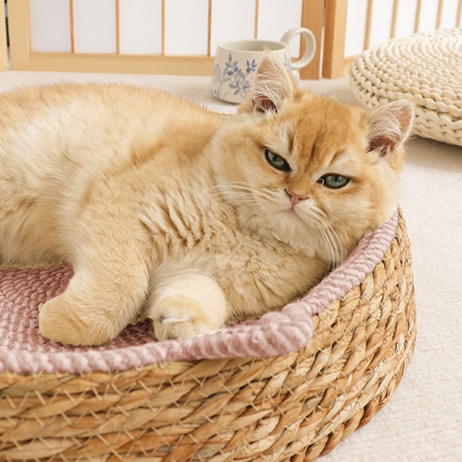 Clearance Dog Bed Medium Size Dogs, Cat Beds for Indoor Cats, Pet Bed for Puppy and Kitty, Washable, Extra , Anti-Slip Bottom
