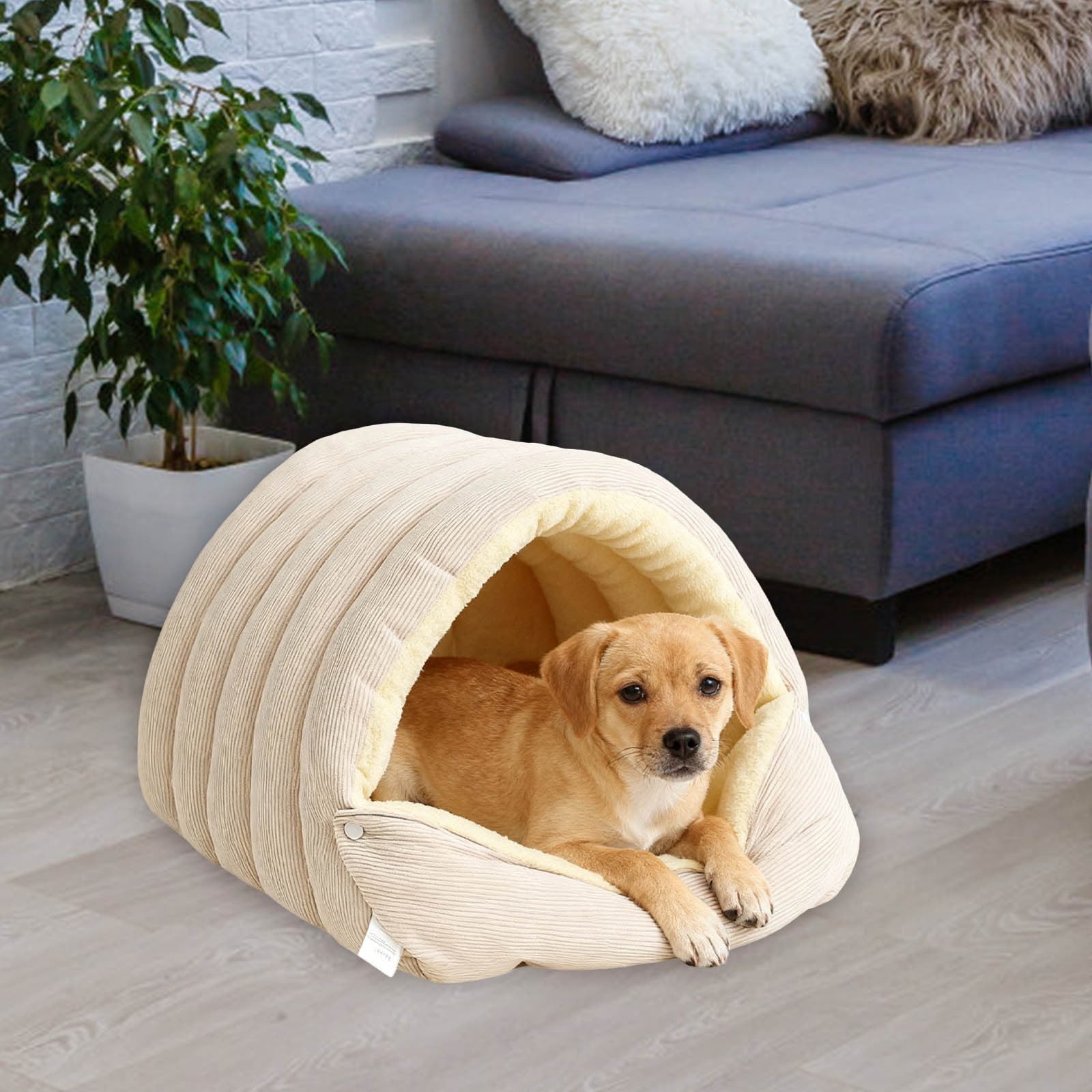 Winter Small Pet Bed - Washable Semi-Enclosed Cat/Dog Bed, Dual-Purpose (Open/Closed), Wear-Resistant Cloth, Fits Pets Under 5 lbs, Green, Compact 18.9x11.8x7.87in
