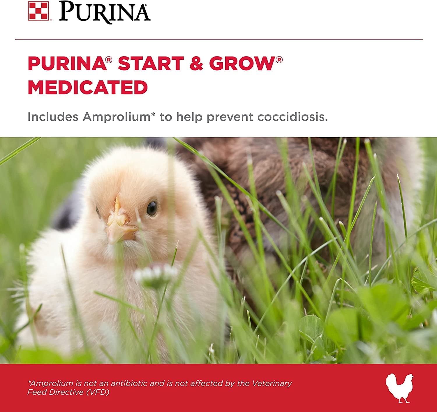 Start &amp; Grow Starter/Grower Medicated Feed Crumbles, 5 lb bag