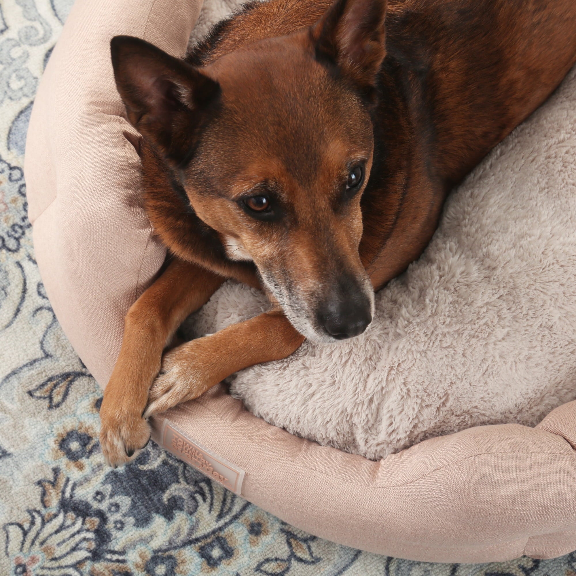 TOWN &amp; COUNTRY EVERYDAY CuddleTown Faux Linen Comfy Cuddler Pet Bed, Supportive &amp; Egg Crate Foam, Water Repellent, Bottom, Cover, Grey, Medium 28"x26"x8"