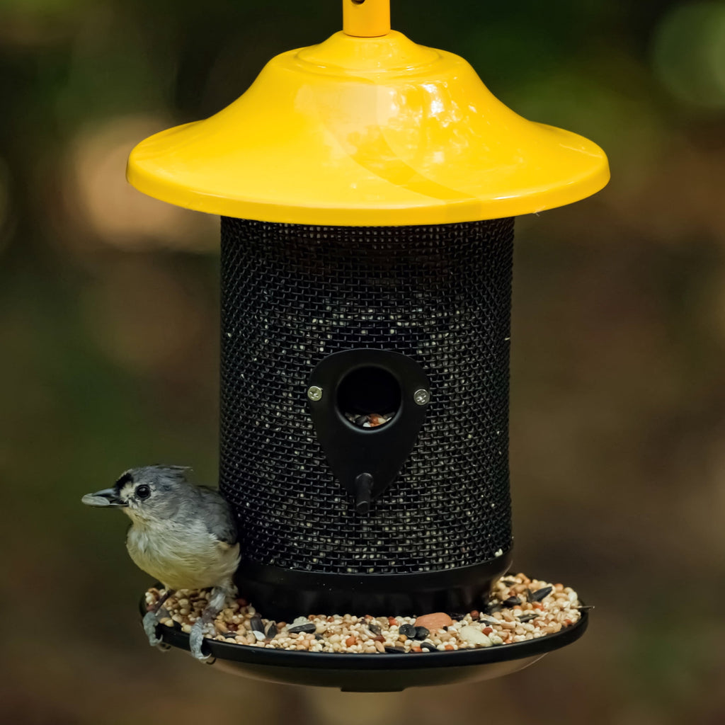 Feeding Frenzy Wild Bird Seeds, Wild Bird Food Mix, 5 lb.