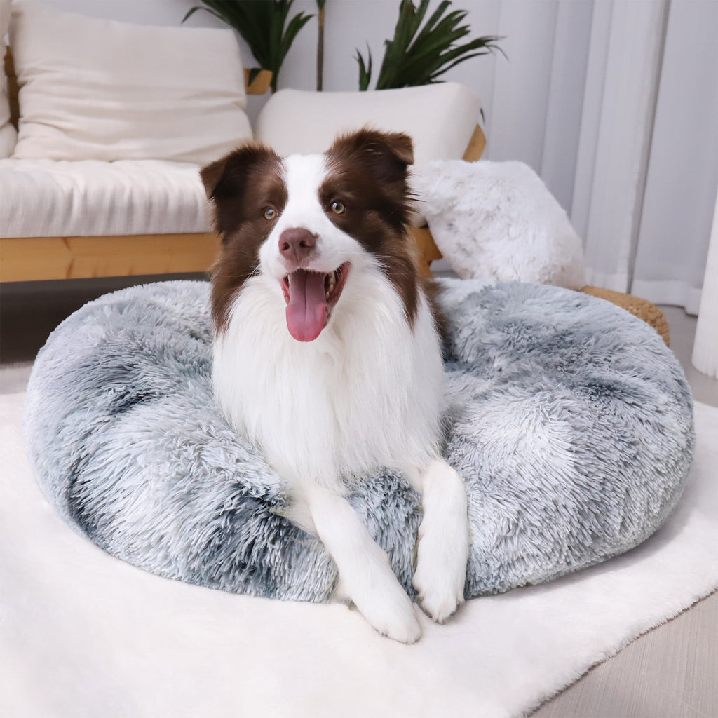 Donut Pet Bed for Small Dogs 20", Plush Warming Dog Bed, Pink Rainbow